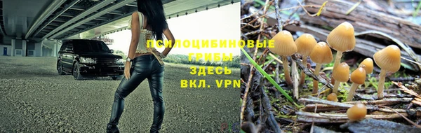 трава Абаза