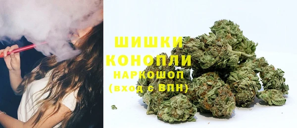 трава Абаза