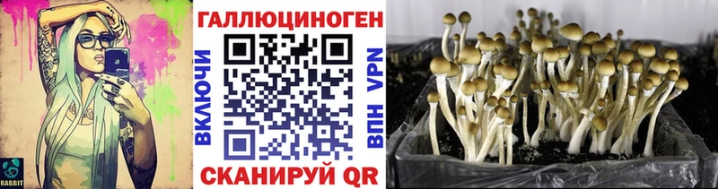 сколько стоит  Фёдоровский  Псилоцибиновые грибы мухоморы 